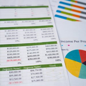 TAP> Basic Excel Assessment